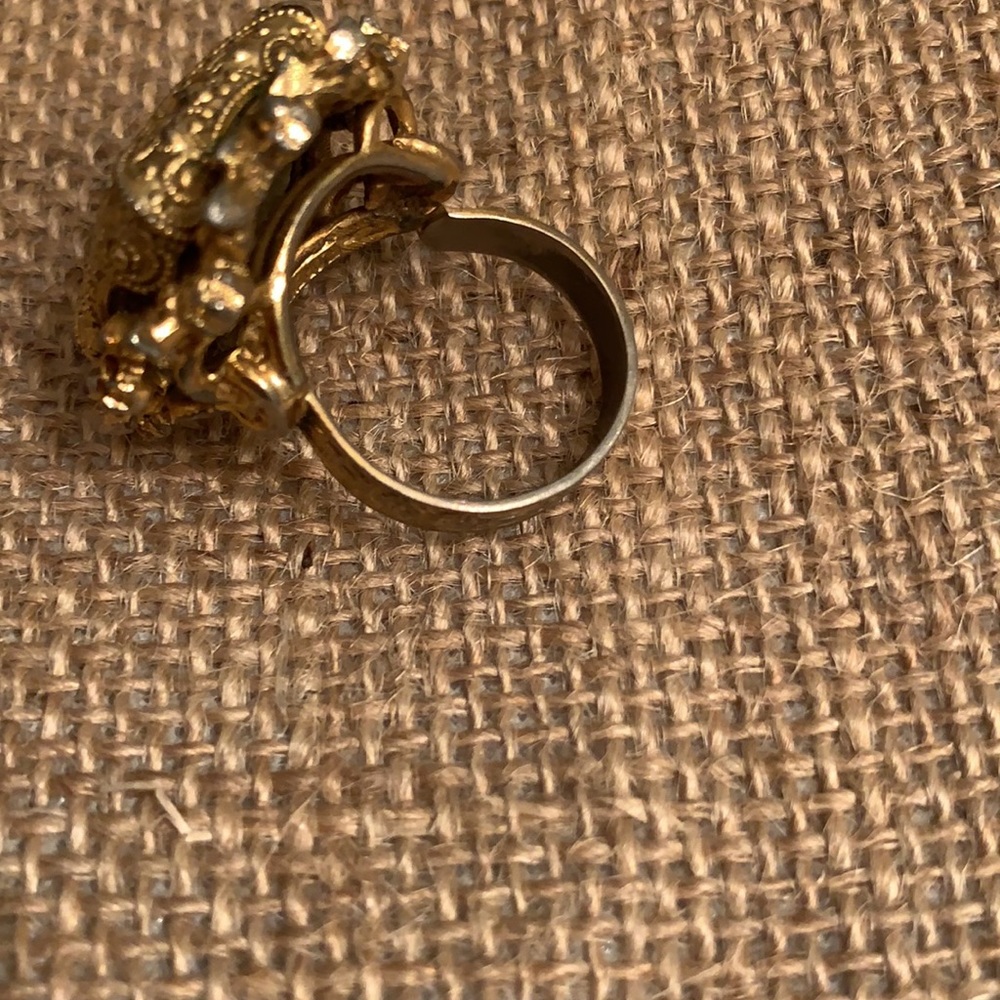 Incredible Ring!! - image 5